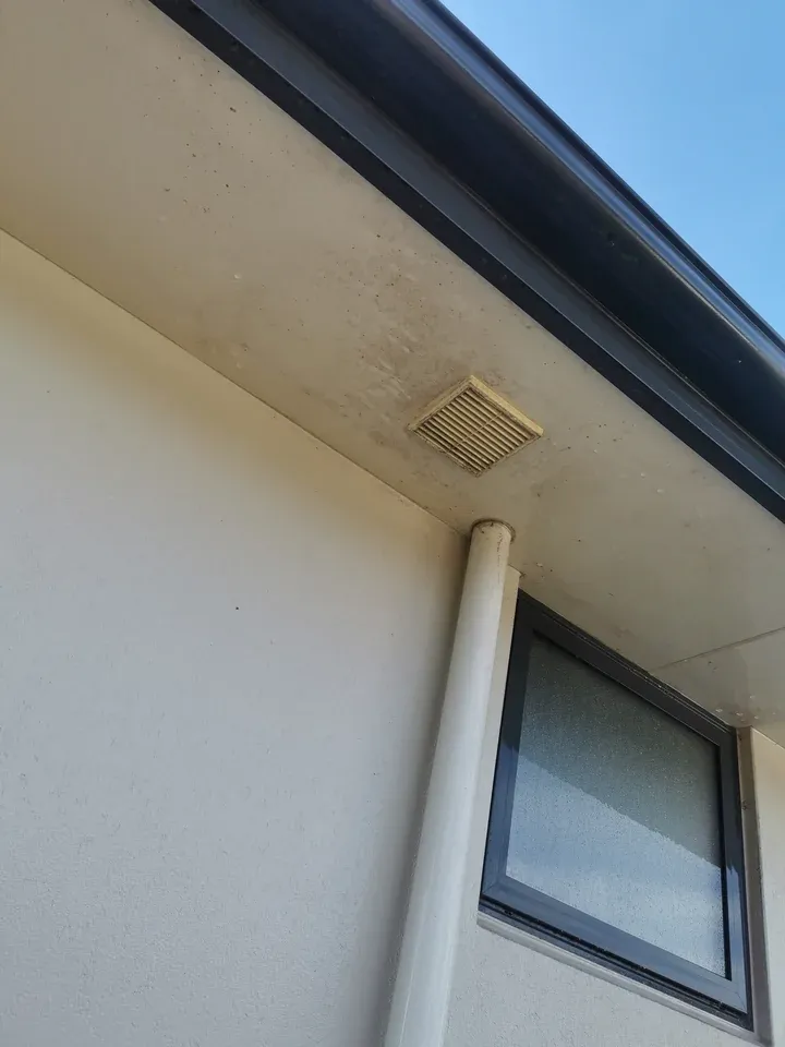 Before: residential soffit and square vent with dark organic spotting and streaks.