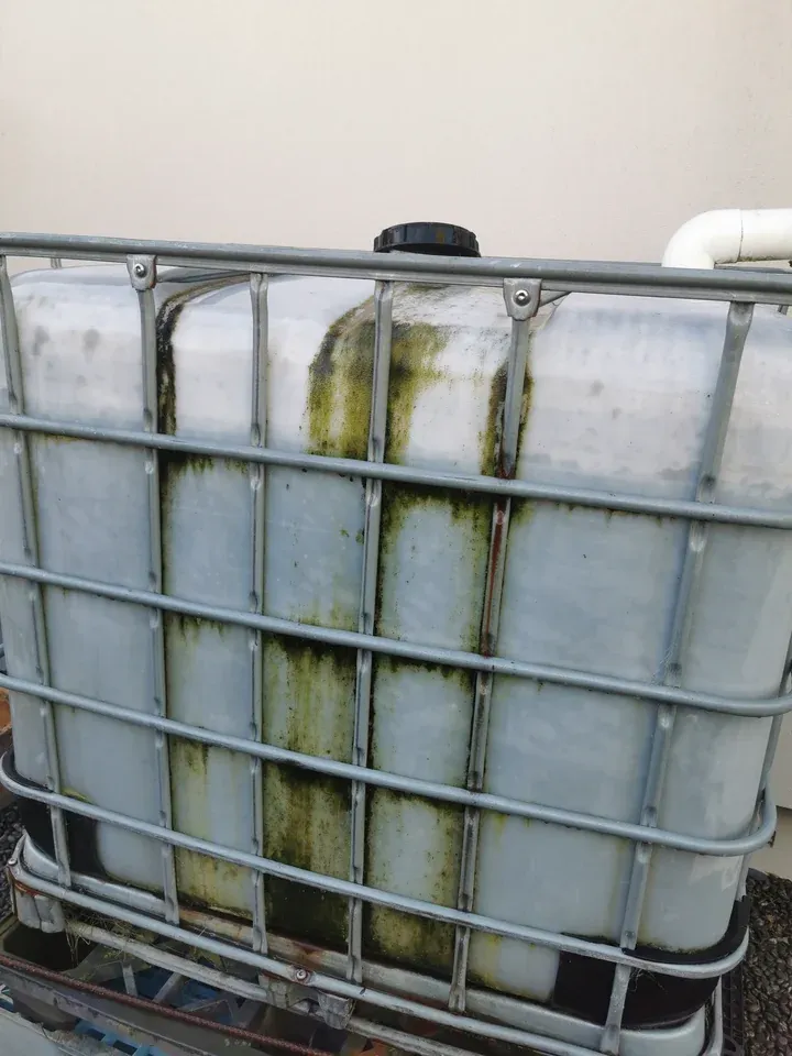 Before: white IBC water tank in a metal cage with heavy green organic streaking.